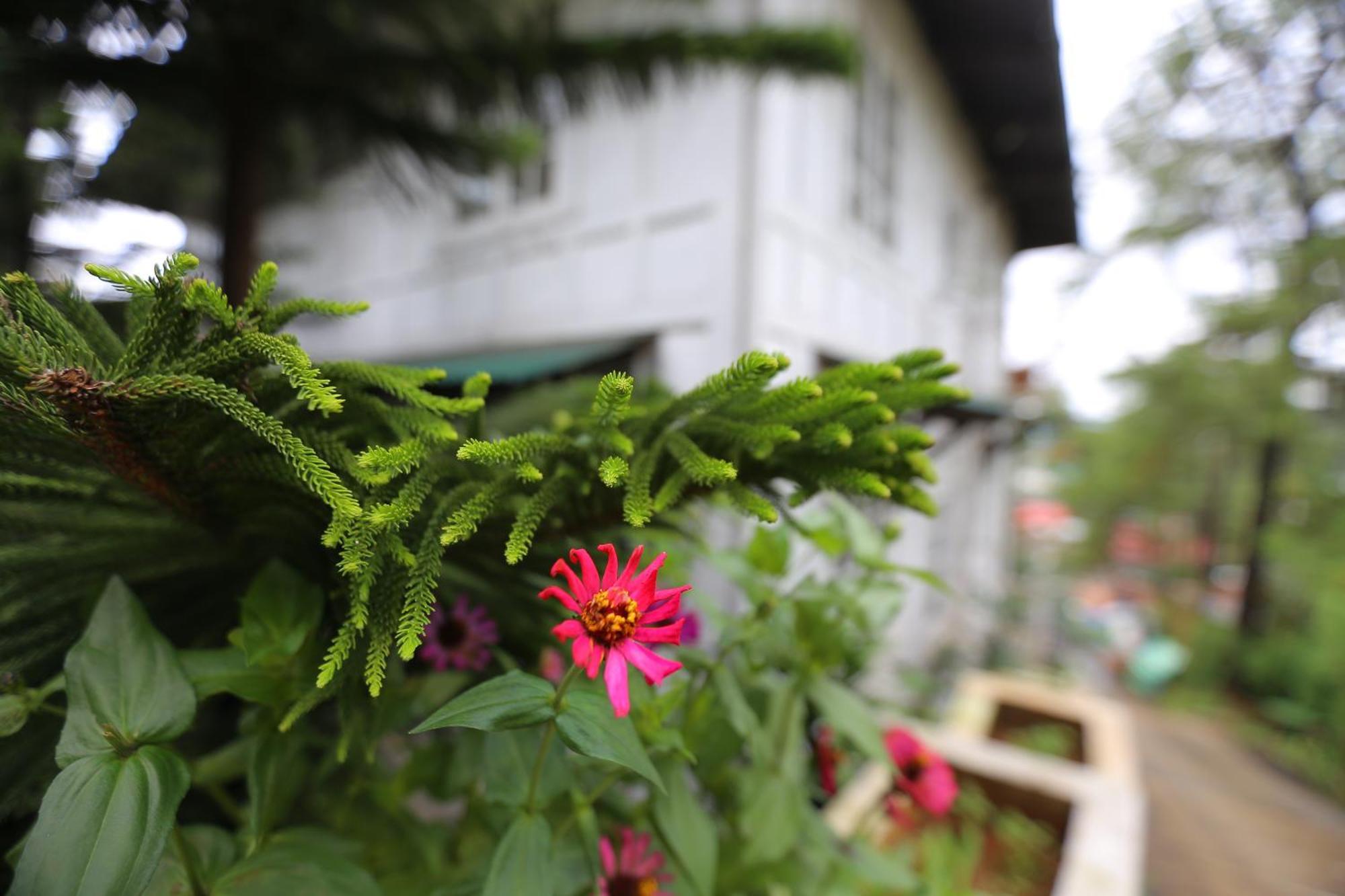 โรงแรมคาซา วัลเลโฮ Baguio City ภายนอก รูปภาพ